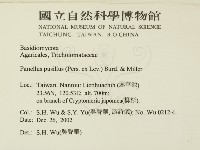 登錄號:F0014919藏品圖，第2張