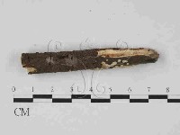 登錄號:F0014920藏品圖，第3張