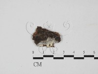 登錄號:F0014922藏品圖，第1張
