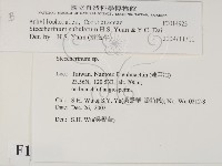 登錄號:F0014923藏品圖，第2張