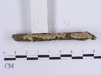 登錄號:F0014923藏品圖，第3張