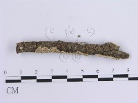 登錄號:F0014923藏品圖，第4張