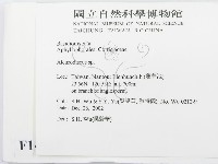 盤革菌屬藏品圖，第2張