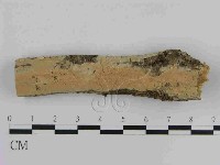登錄號:F0014926藏品圖，第1張