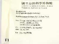 登錄號:F0014928藏品圖，第2張