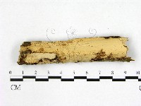 登錄號:F0014928藏品圖，第1張