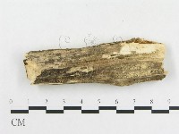登錄號:F0014928藏品圖，第4張