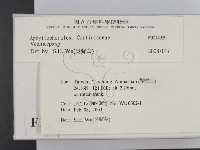 登錄號:F0014929藏品圖，第2張