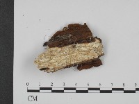 登錄號:F0014929藏品圖，第3張
