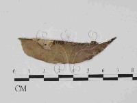 登錄號:F0014930藏品圖，第3張