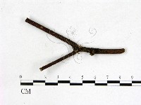 登錄號:F0014931藏品圖，第1張