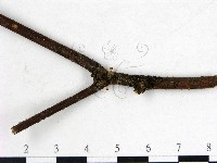 登錄號:F0014931藏品圖，第3張