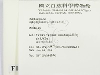射脈菌屬藏品圖，第2張