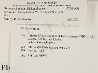 登錄號:F0014936藏品圖，第2張