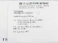 登錄號:F0014945藏品圖，第2張