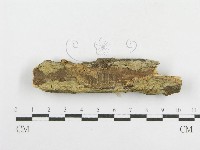 登錄號:F0014945藏品圖，第1張