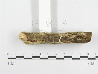 登錄號:F0014945藏品圖，第4張