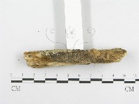 登錄號:F0014945藏品圖，第5張