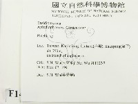 射脈菌屬藏品圖，第2張