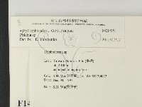登錄號:F0014951藏品圖，第2張