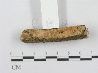 登錄號:F0014954藏品圖，第3張