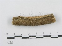 登錄號:F0014954藏品圖，第4張