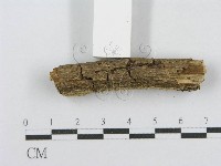 登錄號:F0014954藏品圖，第5張