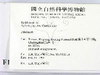 射脈菌屬藏品圖，第2張