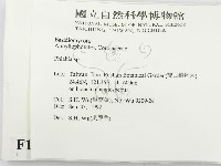 射脈菌屬藏品圖，第2張