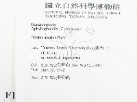 登錄號:F0014964藏品圖，第2張