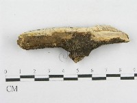 登錄號:F0014964藏品圖，第4張