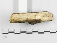 登錄號:F0014964藏品圖，第5張