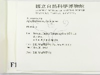射脈菌屬藏品圖，第2張