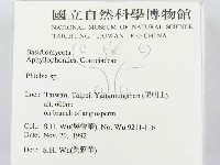 射脈菌屬藏品圖，第2張