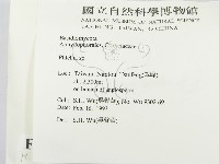 射脈菌屬藏品圖，第2張