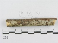 登錄號:F0014971藏品圖，第5張