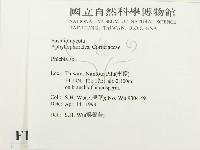 射脈菌屬藏品圖，第2張