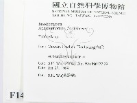 登錄號:F0014975藏品圖，第2張