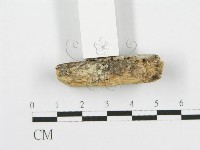 登錄號:F0014975藏品圖，第4張