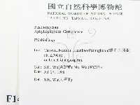 登錄號:F0014976藏品圖，第2張