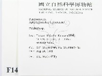 登錄號:F0014977藏品圖，第2張