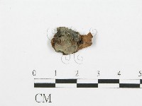 登錄號:F0014977藏品圖，第1張