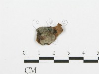 登錄號:F0014977藏品圖，第3張