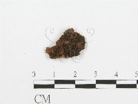登錄號:F0014977藏品圖，第4張