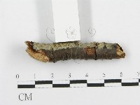 登錄號:F0014978藏品圖，第3張