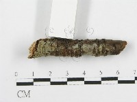 登錄號:F0014978藏品圖，第5張