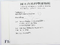 登錄號:F0014980藏品圖，第2張