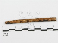 登錄號:F0014981藏品圖，第3張