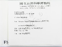 登錄號:F0014982藏品圖，第2張