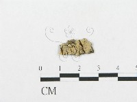 登錄號:F0014982藏品圖，第1張